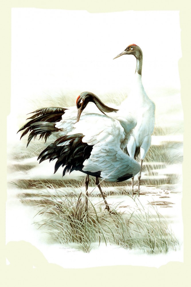 Birds Art Painting (2)